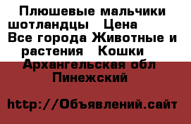 Плюшевые мальчики шотландцы › Цена ­ 500 - Все города Животные и растения » Кошки   . Архангельская обл.,Пинежский 